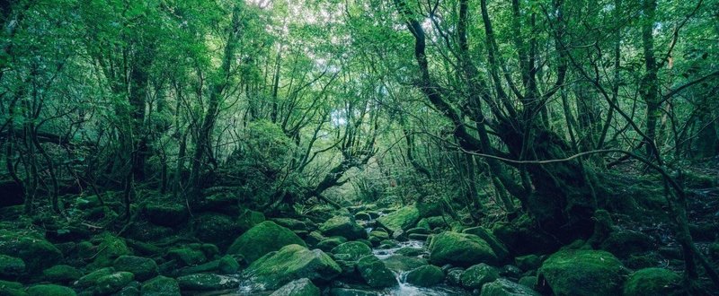 自分の感覚を信じて進む