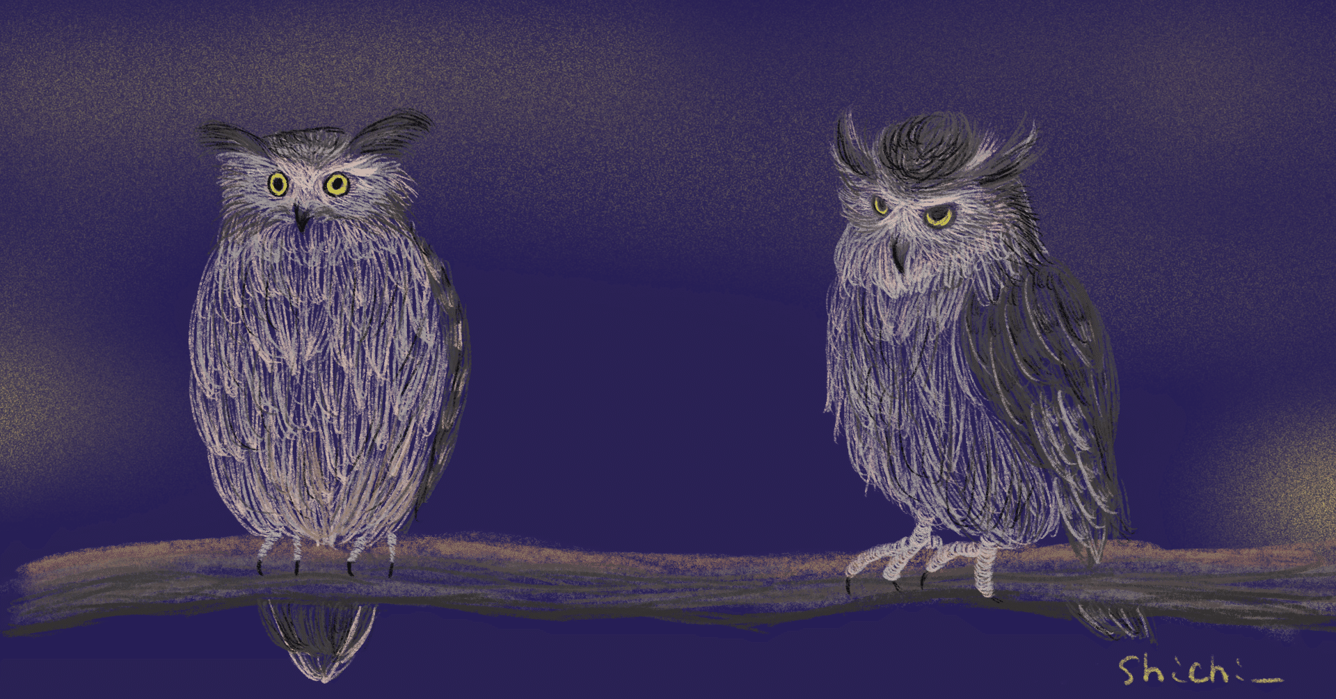 しちのどうぶつえん：しまふくろう｜しち | 2026カレンダー配布中