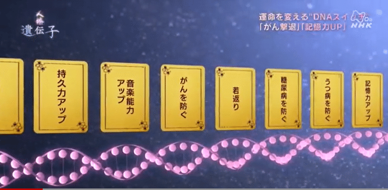 4)遺伝子には持久力や音楽の能力をアップさせたり、病気を防いだり、私たちの運命を左右する様々な情報が書き込まれている