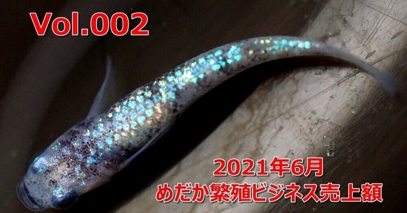 メダカの卵 の新着タグ記事一覧 Note つくる つながる とどける メダカの卵 の新着タグ記事一覧 Note つくる つながる とどける