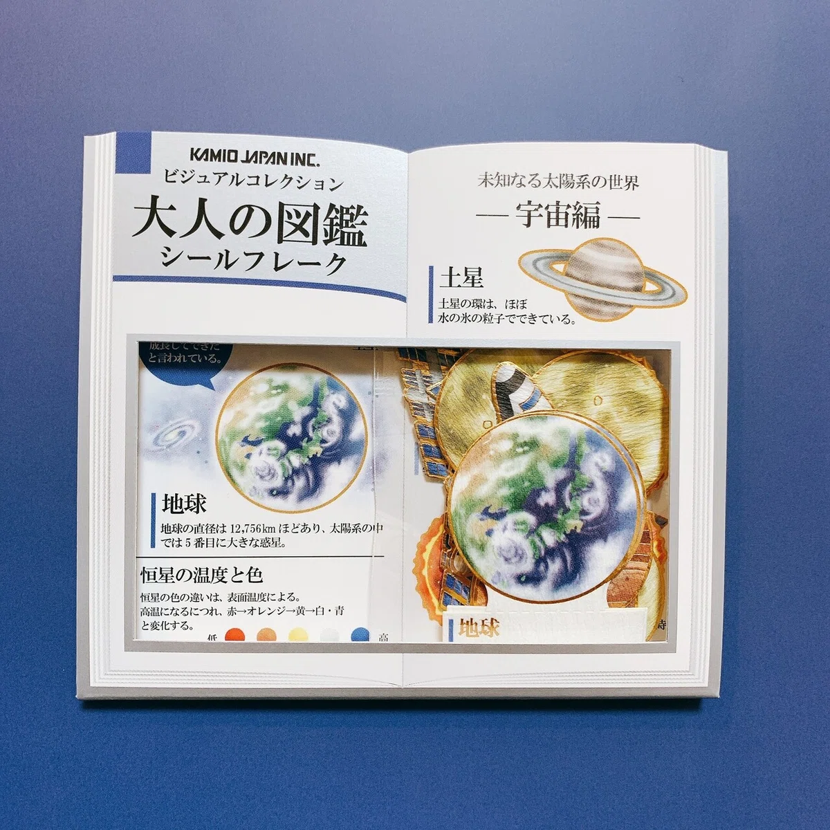 画像11