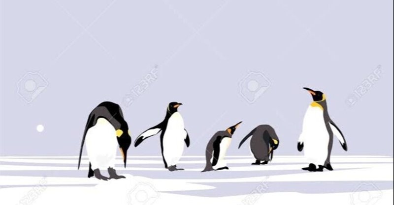 第1675回 ペンギンを知る ⑴
