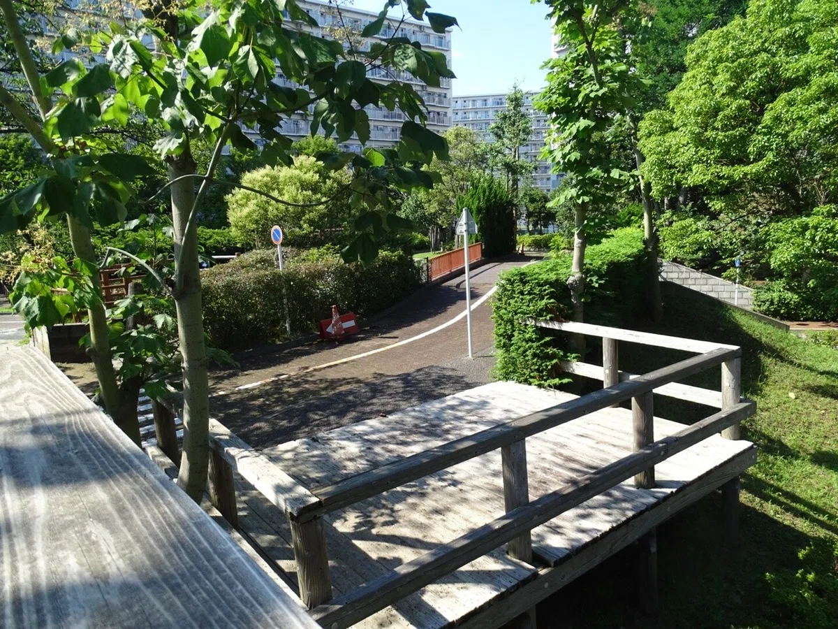 画像6