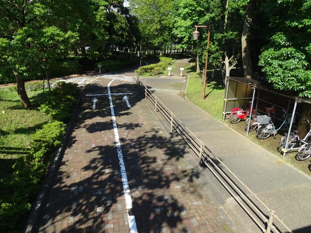 画像5