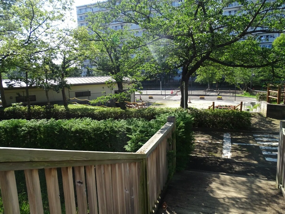 画像7