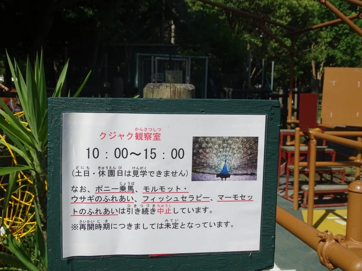 画像10