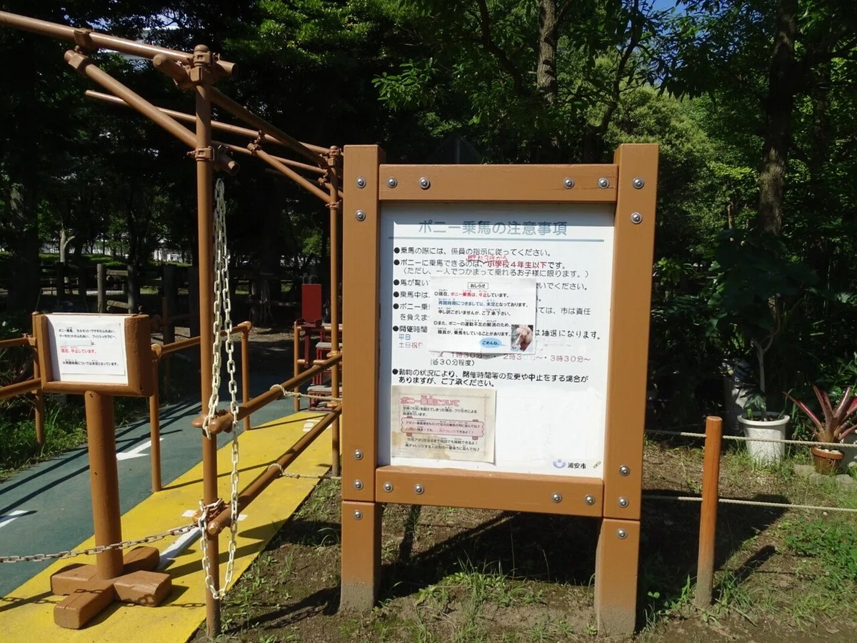 画像14