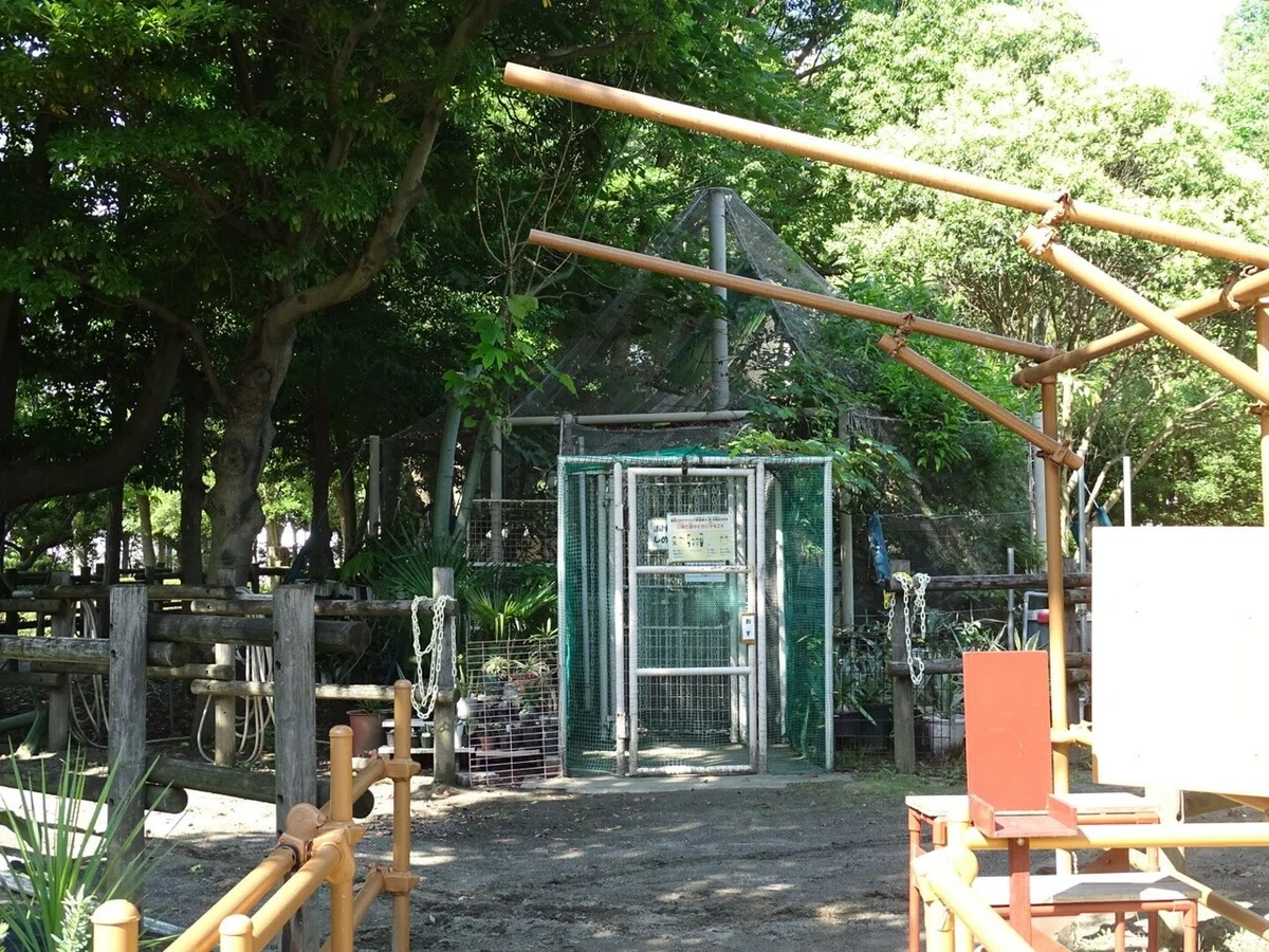画像15