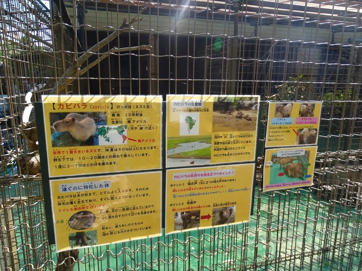 画像24