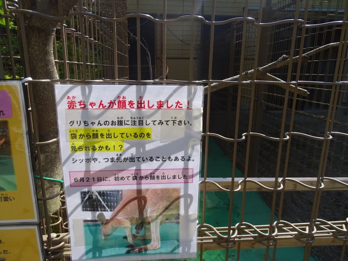 画像23
