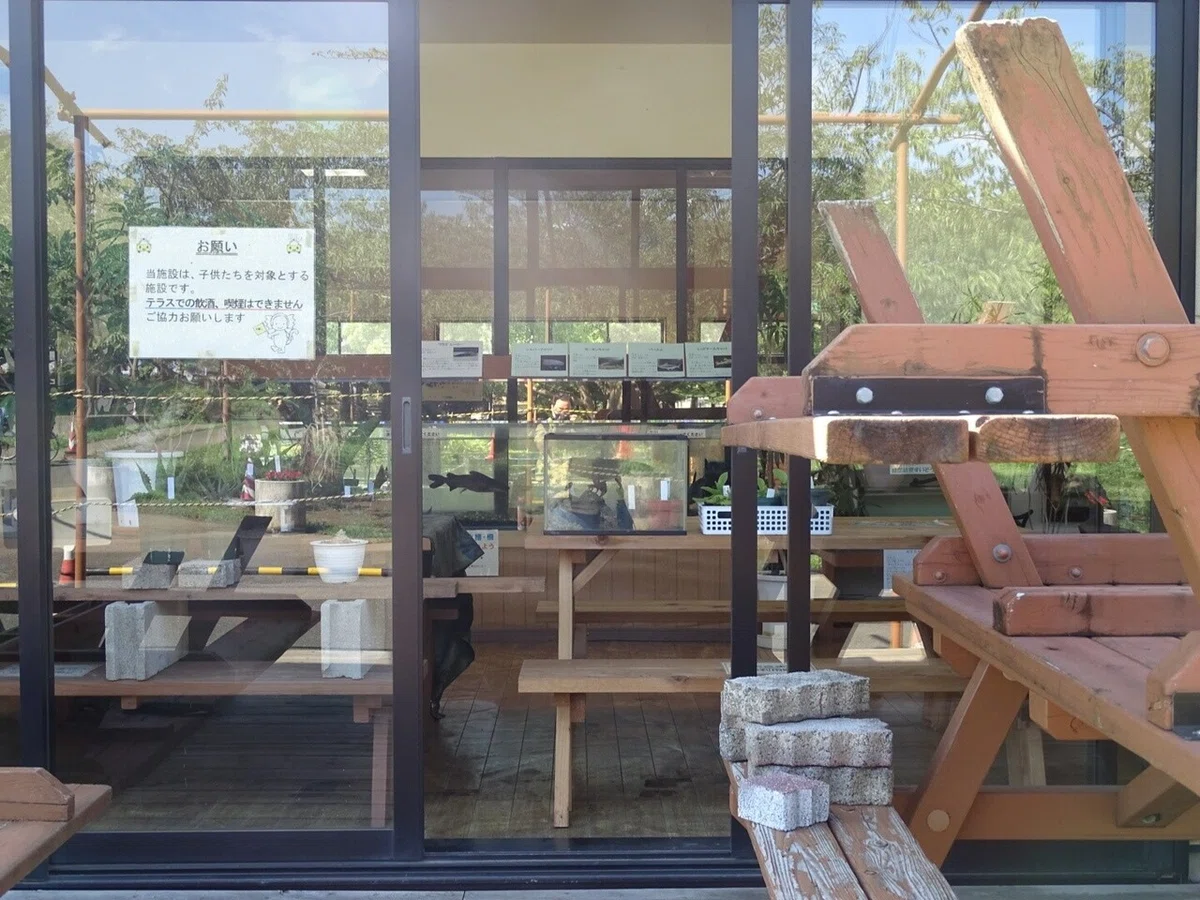 画像32