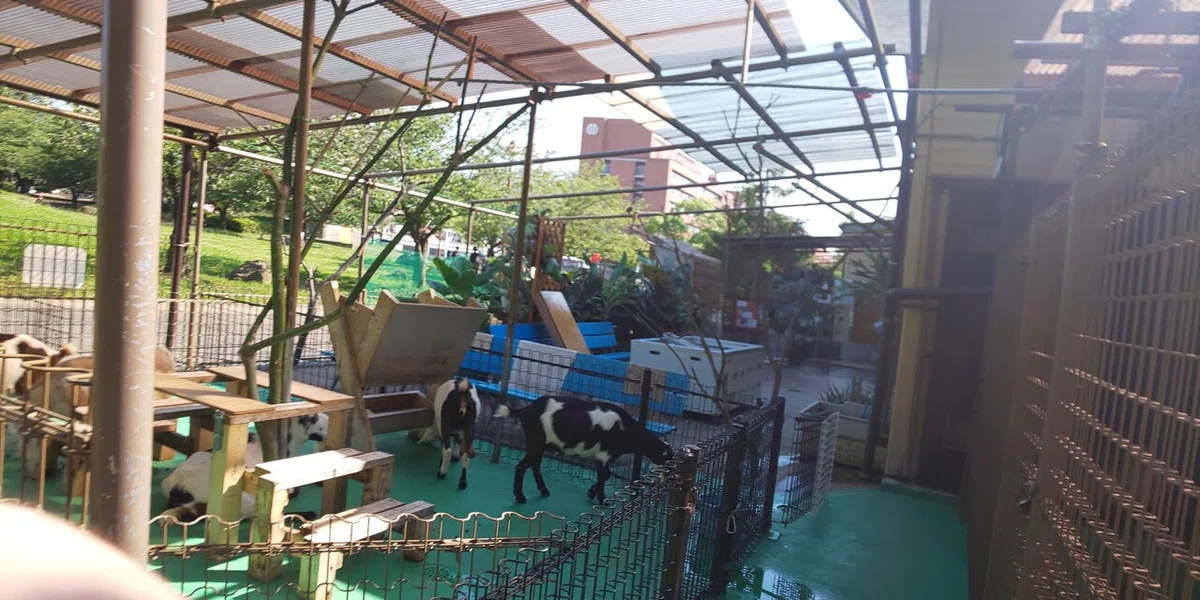 画像46