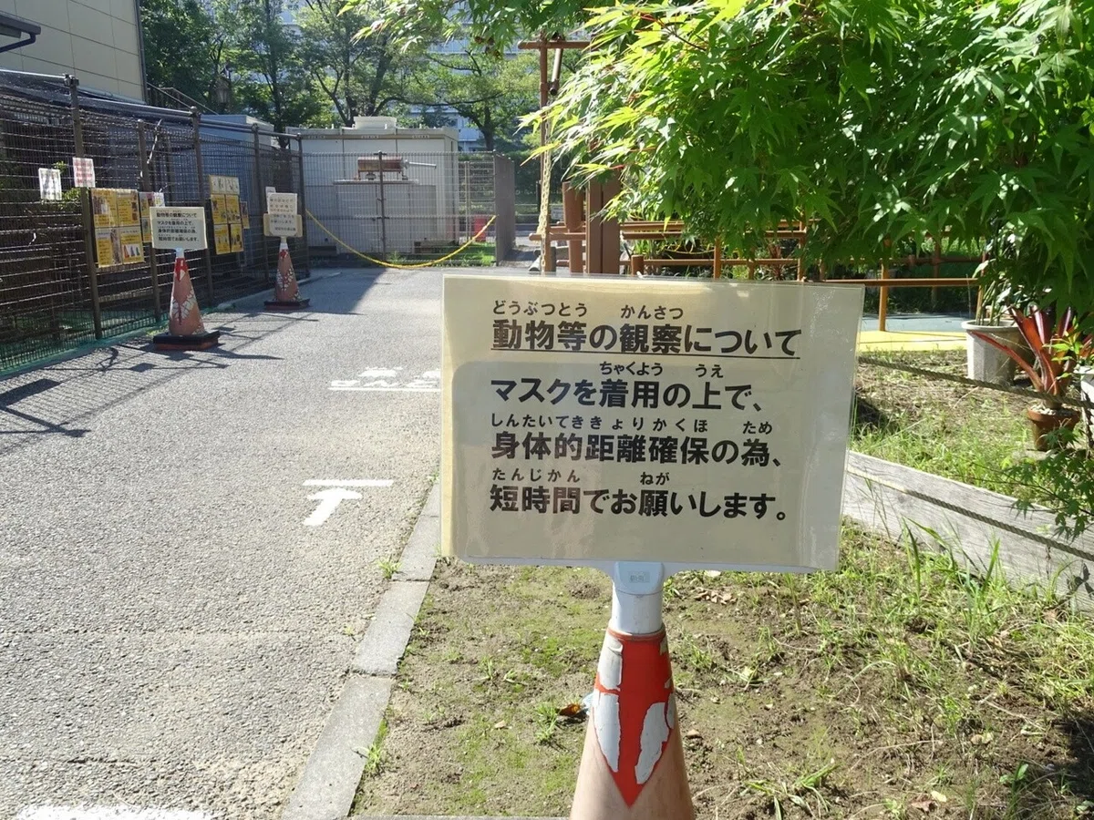 画像47