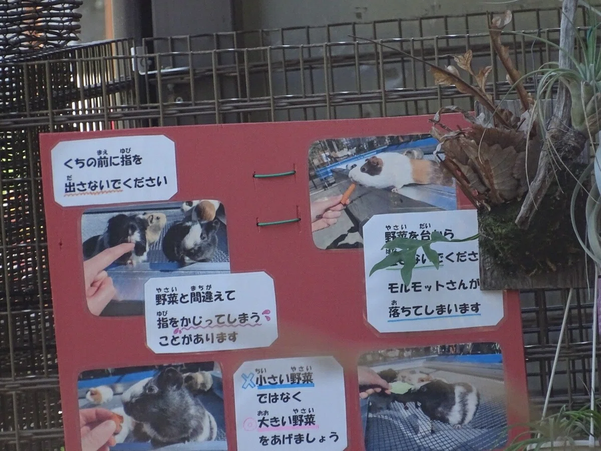 画像49