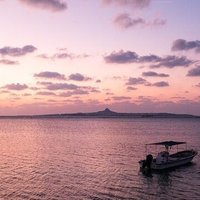 しいたけ の月刊おひつじ座 しいたけ占いのしいたけ