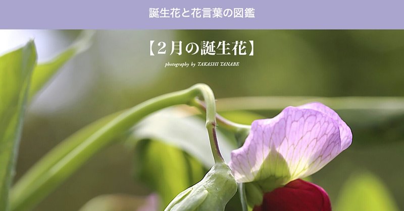 2月「note」に投稿した草・花・木の電子書籍の紹介。