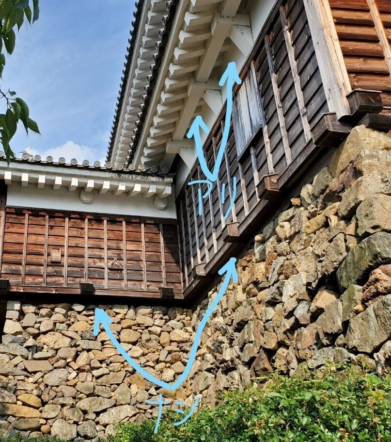 画像14