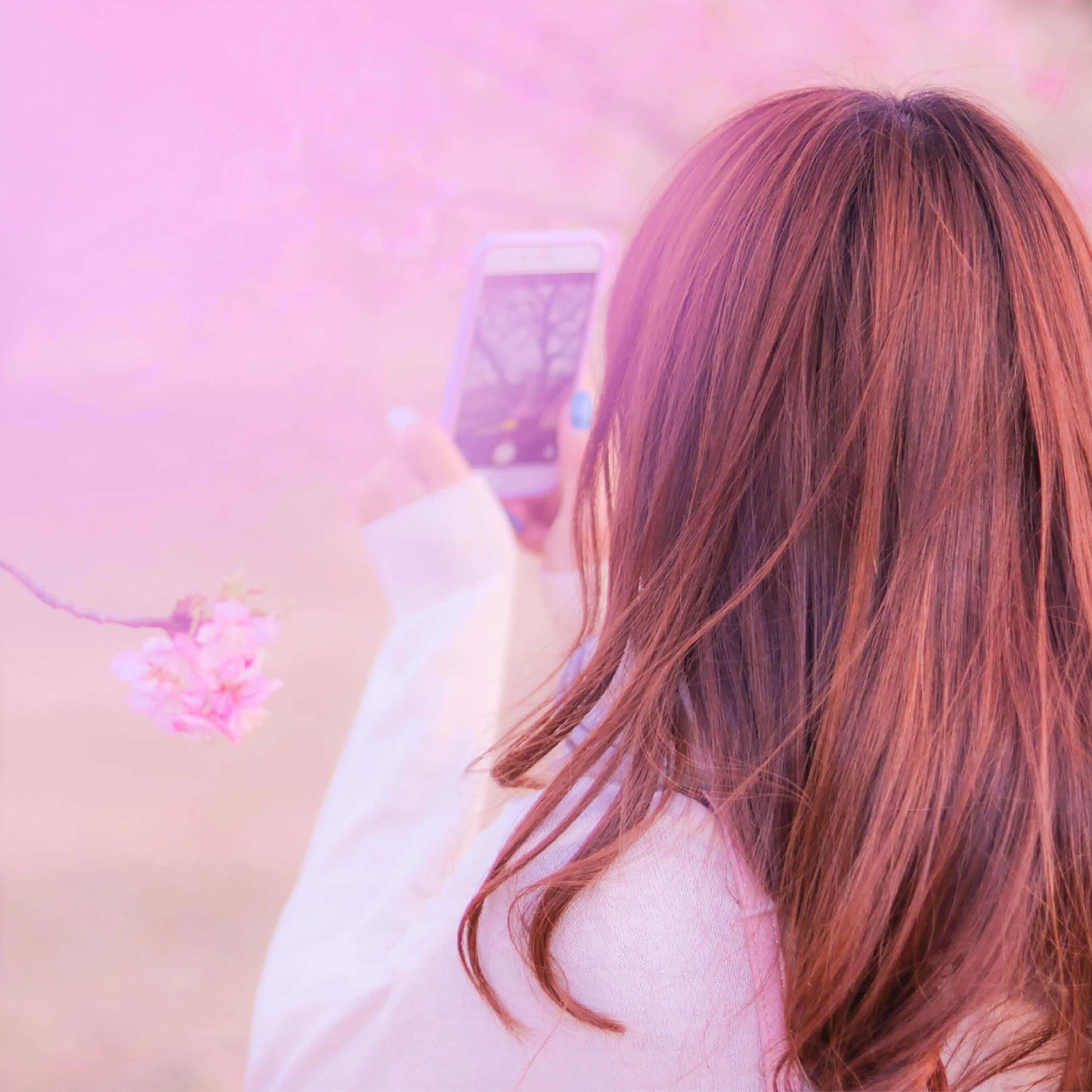 Tomo🌸【フォロバ100】