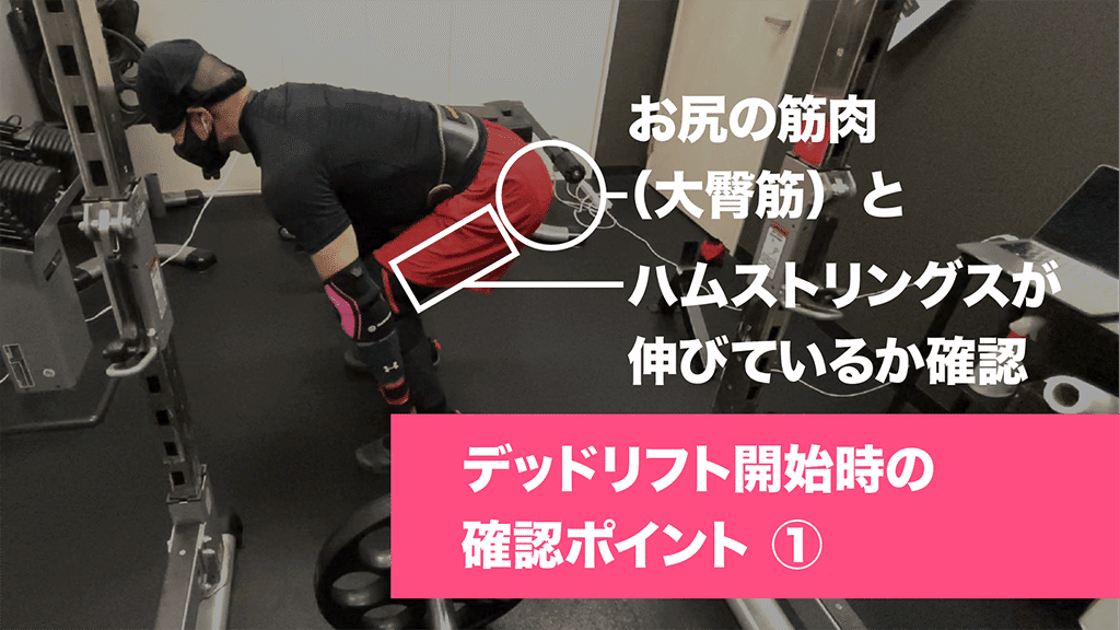 デッドリフト開始時の確認ポイント1。お尻の筋肉(大臀筋)と太もものお尻側の筋肉=ハムストリングスが伸びているかを確認