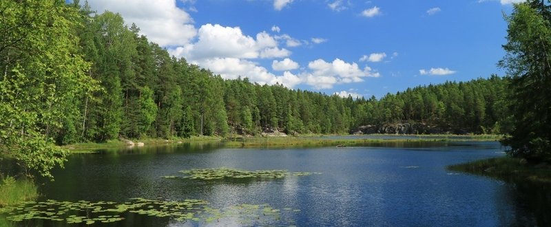 心で感じるフィンランドの自然 Yoshito Note