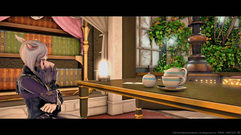Ff14 読書タイムや心落ち着きたい時におすすめ 植物と星灯りの静かな書店宿 Mana Mandragora Ff14ハウス探訪 Note
