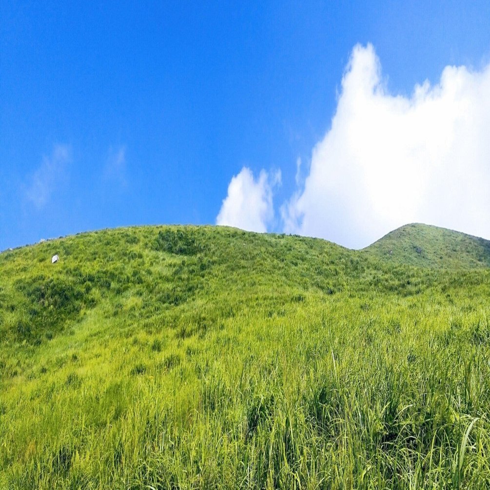 にっかり青江単騎出陣を個人的に全文文字起こしした女による青江単騎感想 U U C Note