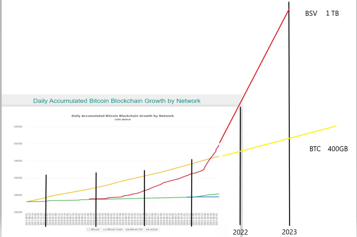 仮想通貨で詐欺性ないものはBSVたけえ｜陽一