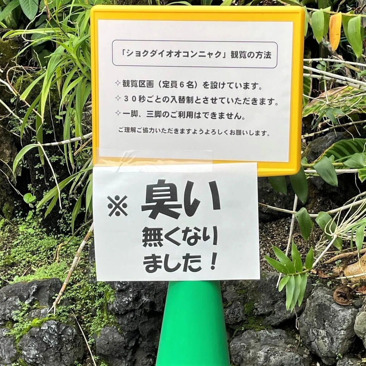世界一大きく臭い儚い生命の花が咲いた 食彩アドコム 食こそ温故知新 Note 世界一大きく臭い儚い生命の花が咲いた 食彩アドコム 食こそ温故知新 Note