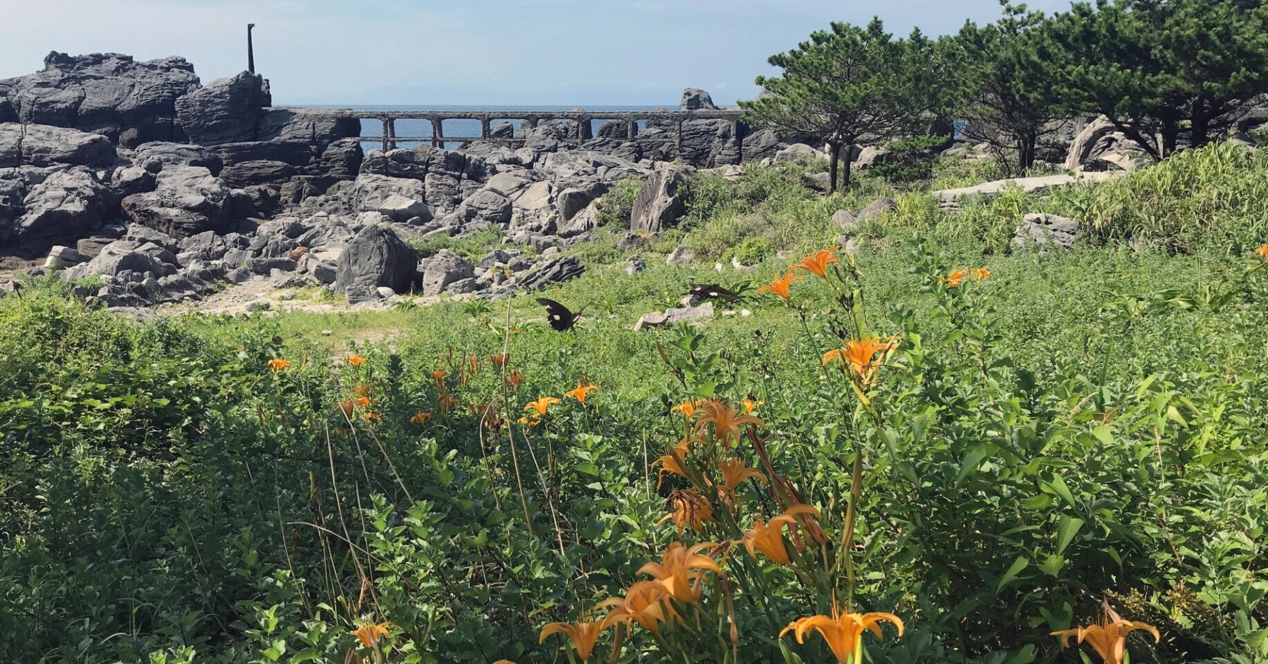 神津島 大森 武 Note 神津島 大森 武 Note