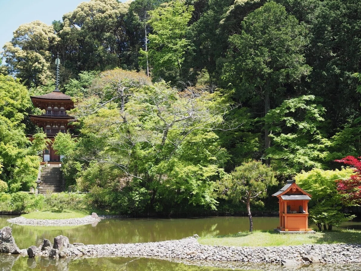 画像2