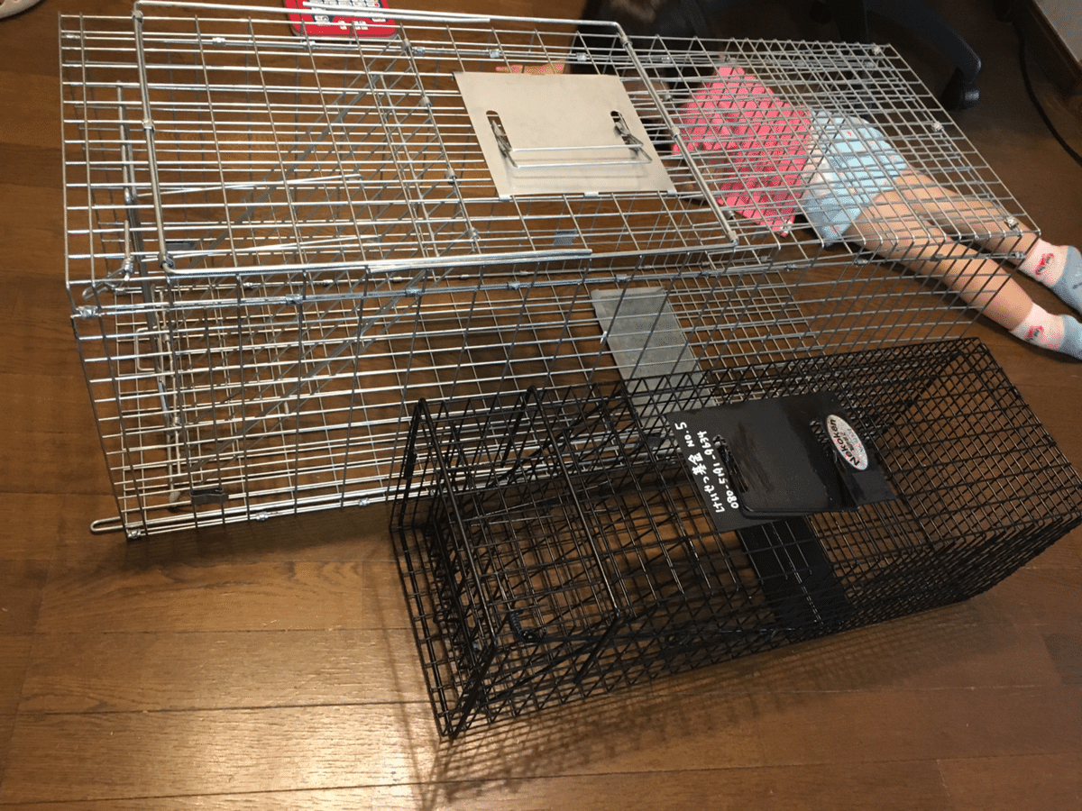 トマホーク社製。ネコ用捕獲機 『ドロップトラップ』 ドロップトラップ使ってみました！ | まーぷるの預かり猫たち