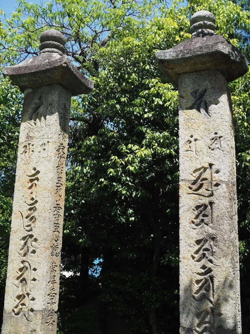 画像7