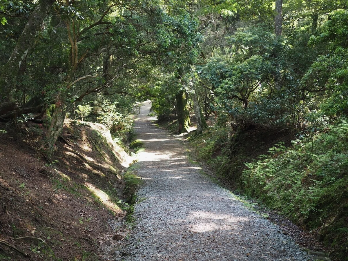 画像3