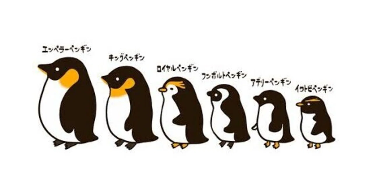 第1676回 ペンギンを知る ⑵｜翆野 大地