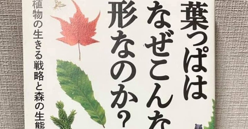 樹木図鑑作家 林将之氏 講演会のお知らせ Hickory Wind 至誠塾 Life As Guide Note 樹木図鑑作家 林将之氏 講演会のお知らせ Hickory Wind 至誠塾 Life As Guide Note