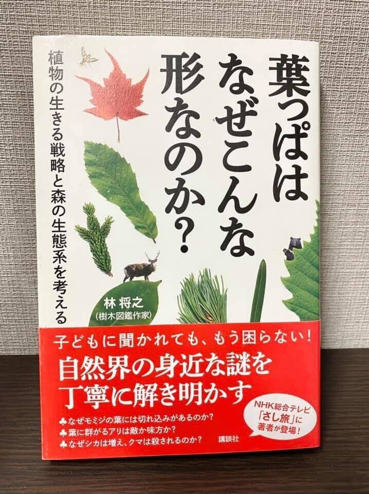 葉っぱはなぜこんな形なのか