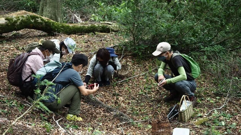 報告 きのこ博士と歩く 寿庵きのこクラブ 第4回 大山ゲストハウス寿庵 Note