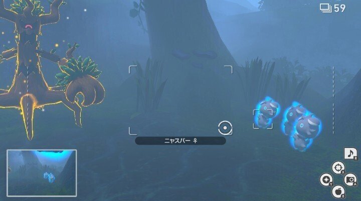 ポケモンスナップ リクエスト攻略 ゆうきアイデアだけはあるけど実現方法わからない Note