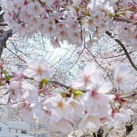 沈んでゆく海の底から見えたもの Ui Note