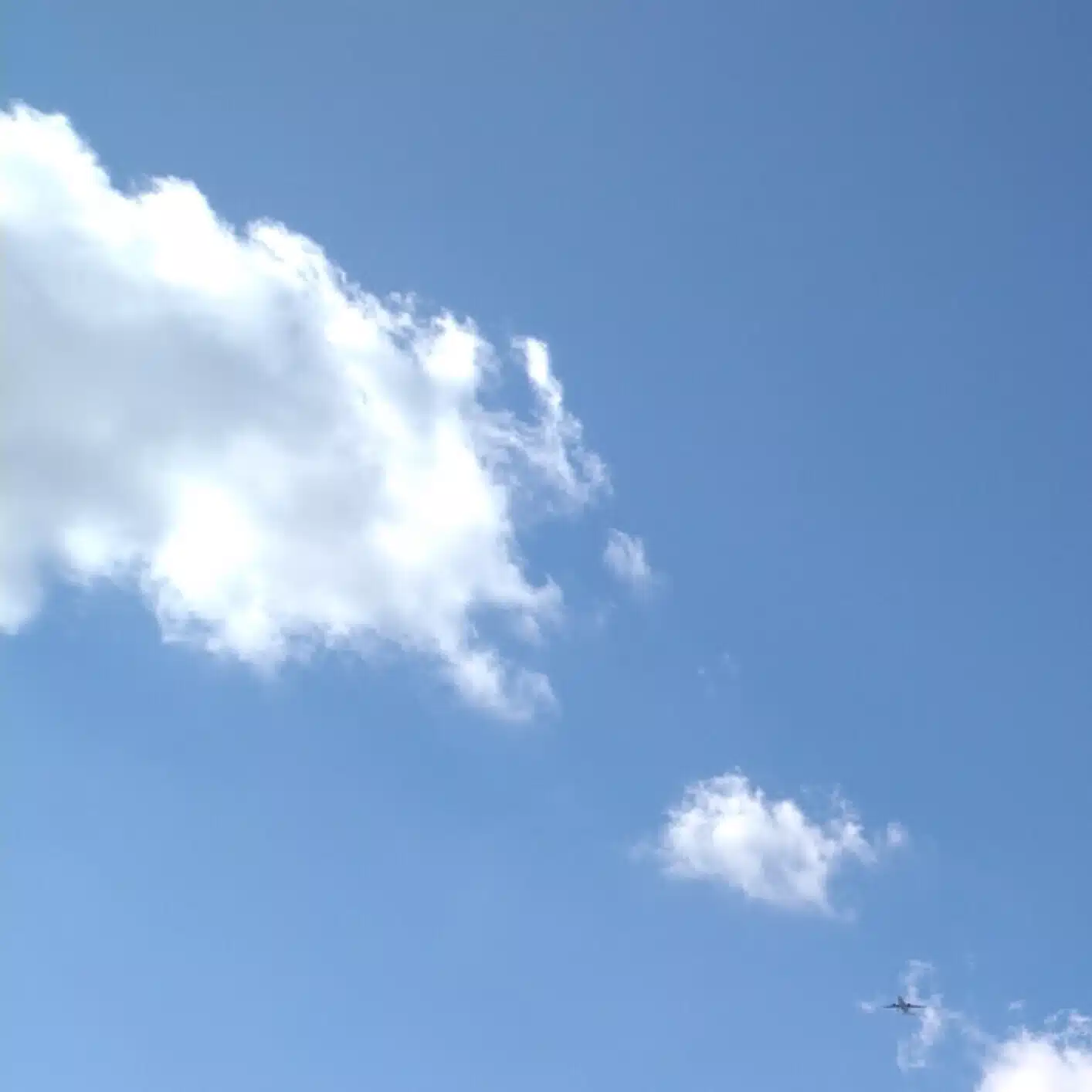 藤野ゆき