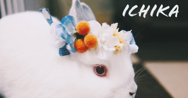 ヒマラヤン の新着タグ記事一覧 Note つくる つながる とどける