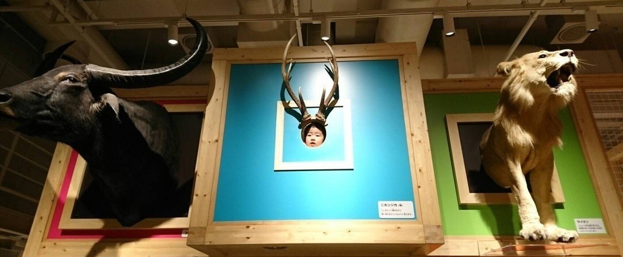 国立科学博物館 休日のコンパス攻略法 杉田千種 Note 国立科学博物館 休日のコンパス攻略法 杉田千種 Note