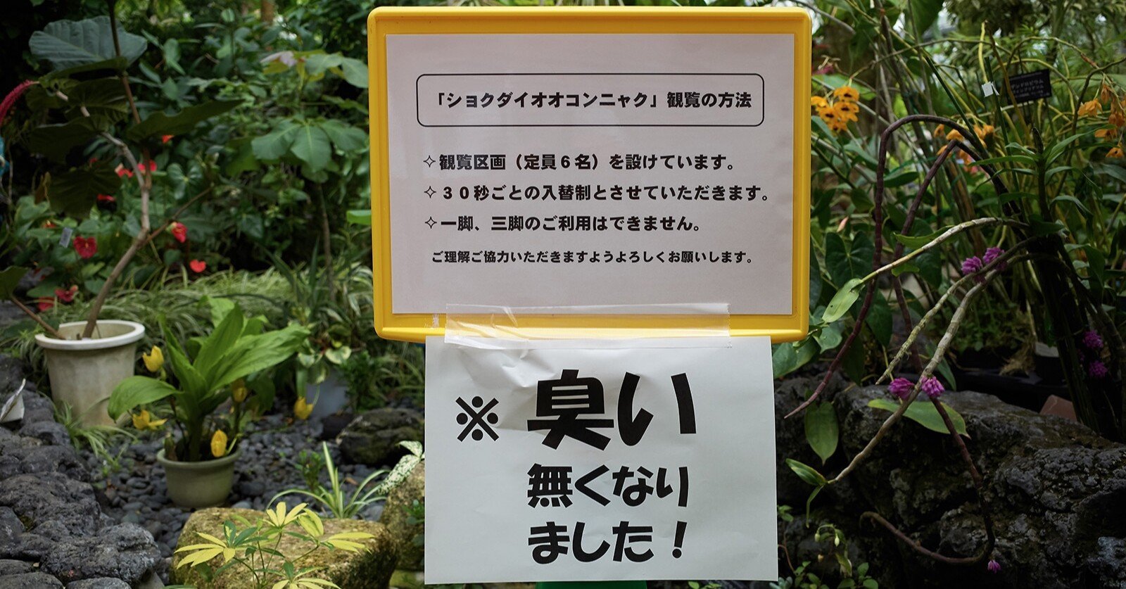 世界一でかくて臭い花 家族ノート Note