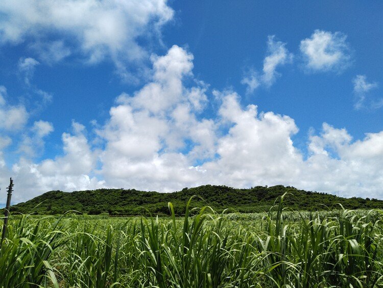 西原と大浦を隔てるフズ嶺。
こう見ると、やはりデカい！