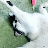 グラブル攻略 ラカム100フェイト 思い出の呼び水 萩原 Note