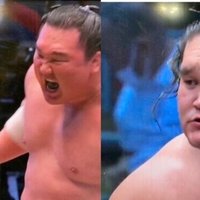 子供の頃から相撲大好き 21 07 野猿 やえん Note