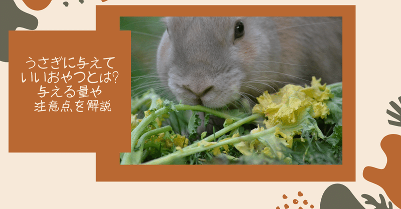 食べ物 うさぎの杜の学校 仮校舎 Note 食べ物 うさぎの杜の学校 仮校舎 Note