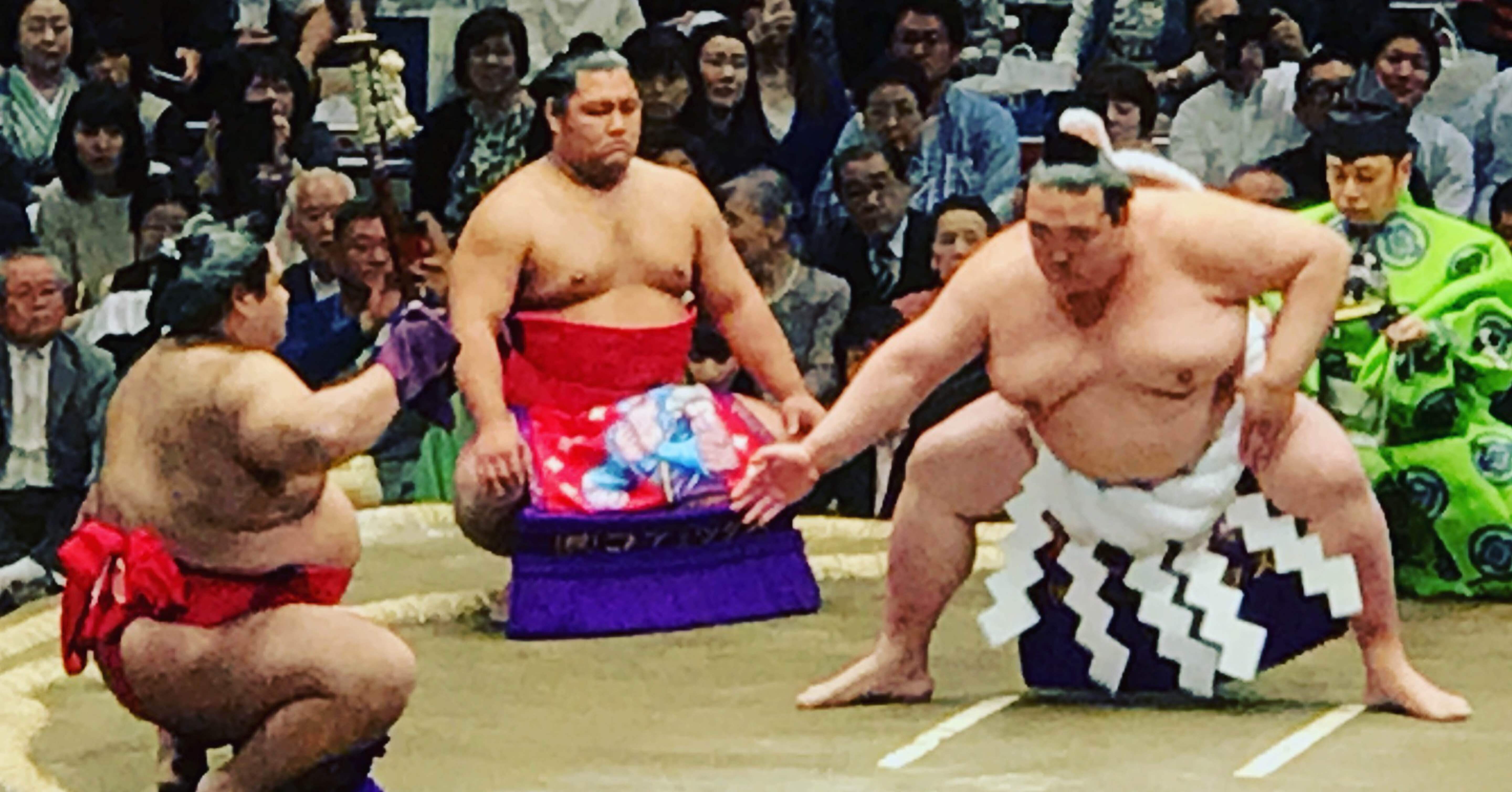稀勢の里と照ノ富士 白鵬 アボカドロ Note