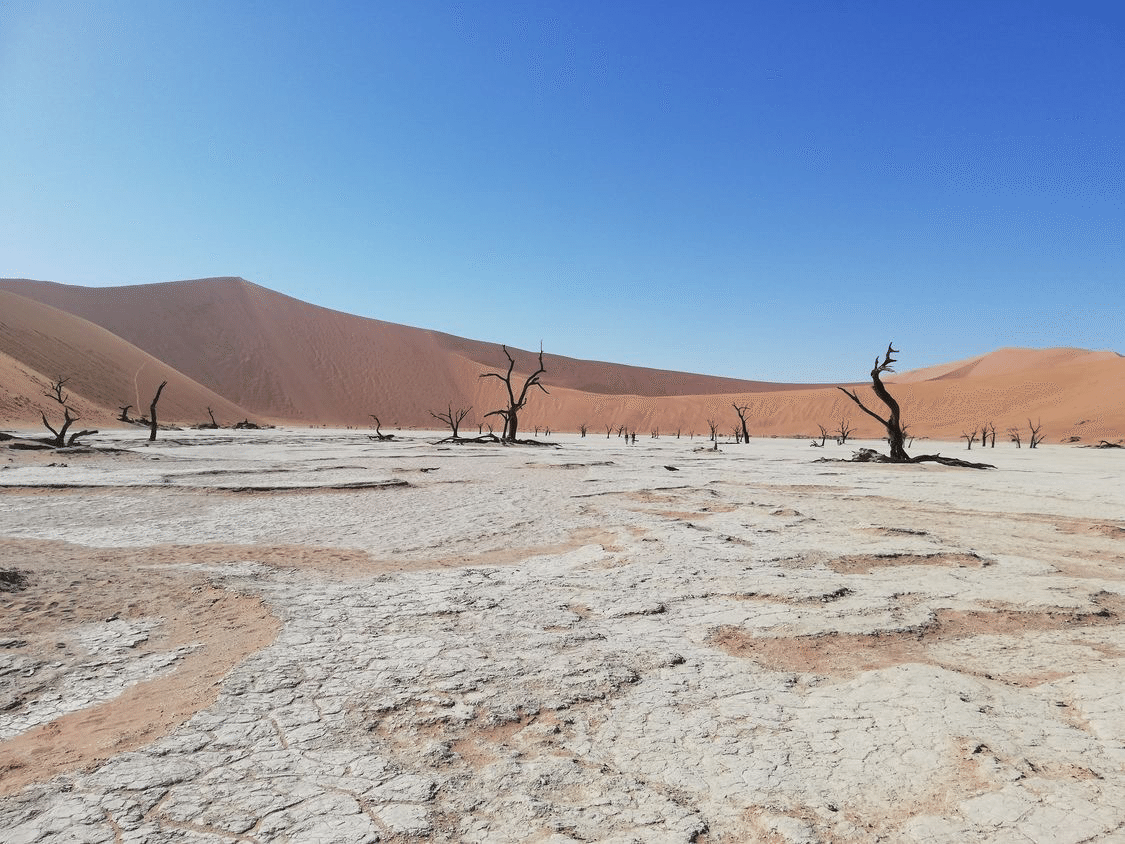 Episode4 アフリカ縦断 デッドフレイへの道 Reina World Note Episode4 アフリカ縦断 デッドフレイへの道 Reina World Note