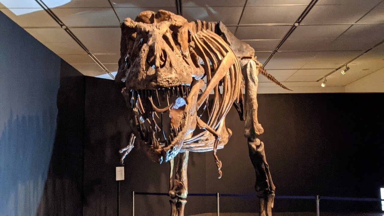 ジュラシック大恐竜展に行ってきました。｜びぶ